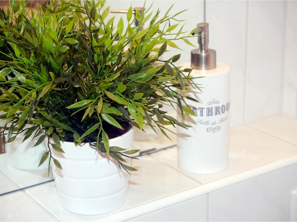 Apartment Cologne City Εξωτερικό φωτογραφία